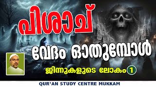 ചെകുത്താൻ വേദമോതുമ്പോൾ  ജിന്നുകളുടെ ലോകം part  1  Rahmathulla qasimi  06102024 [upl. by Ellene]