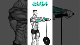 GET BIG FOREARMS🔥💯 BEST FOREARMS EXERCISES  FOREARMS WORKOUT [upl. by Seroka]