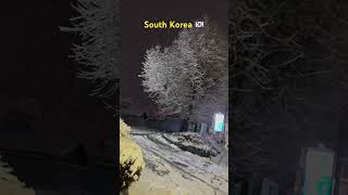 South Korea 🇰🇷 first snow ❄️ travel snow snowfall love winter r [upl. by Ianahs526]