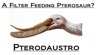 Prehistoric Breakdown Pterodaustro [upl. by Ahseiym]