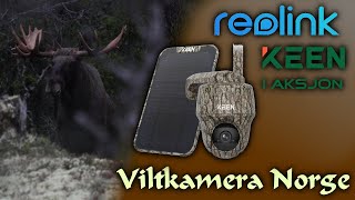 VILTKAMERA I AKSJON  Reolink KEEN Ranger PT 4G [upl. by Werdn]