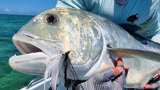 Saltwater fly fishing  Giant Trevally [upl. by Atinav]