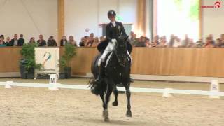 Leonie Richter  Don Windsor OLD  3Wertung Dressur junge Reiter  DJM Riesenbeck  2016 [upl. by Akkire]