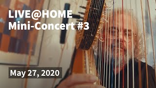 Andreas Vollenweider  LIVEHOME  MiniConcert 3 [upl. by Aloibaf]