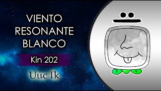 Kin 202  Viento Resonante Blanco ⚪️  10 de Mayo 2024 [upl. by Anavrin281]