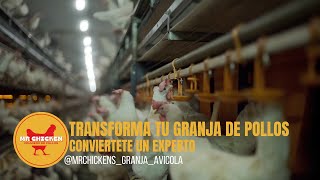 ¡Transforma tu granja de pollos de engorde😱Guía definitiva Vuélvete un experto en criar Pollos🫣 [upl. by Nij166]