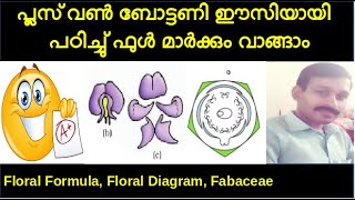 Plus One Botany Chapter 3 Morphology of Flowering Plants Part 8 Fabaceae Malayalam Focus Area [upl. by Etom]