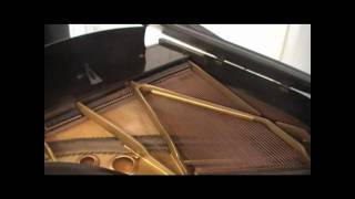 Aeolian Baby Grand Piano [upl. by Notsirt]