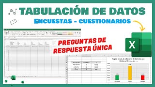 Excel  Tabulación de datos de una encuesta  Para tesis proyectos de aplicación e investigación [upl. by Uwton]