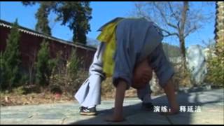 Shaolin Tong Zi Gong 少林童子功 [upl. by Fagaly]