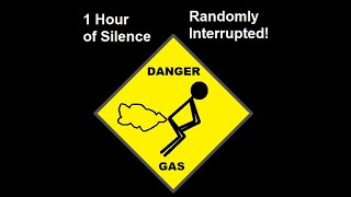 1 Hour of Silence Randomly Interrupted by Farts [upl. by Elagiba]