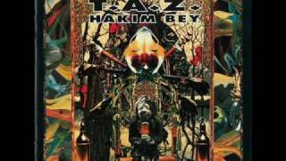 Hakim Bey Chaos [upl. by Karlyn369]