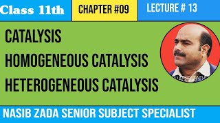 CatalysisTypes Comparision bw Homogeneous and Heterogeneous Catalysis NASIBZADASSS [upl. by Atenaz405]