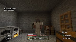 My New World episode 10  I Made a Smelting Room But Got Ambushed [upl. by Monroy]