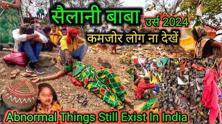 सैलानी बाबा उर्स 2024  Creepy Things Of India [upl. by Annairda]