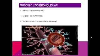 FARMACOLOGIA DE LA HISTAMINA [upl. by Haley]