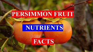 PERSIMMON FRUIT  HEALTH BENEFITS AND NUTRIENTS FACTS [upl. by Aneetak]