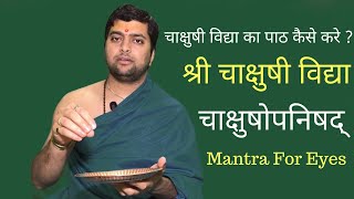 श्री चाक्षुषी विद्या  चाक्षुषोपनिषद्  चाक्षुषी विद्या का पाठ कैसे करे  Mantra For Eyes [upl. by Jimmy]