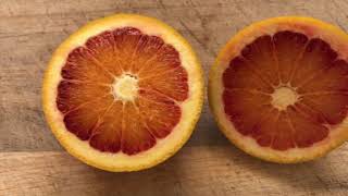 Tarocco Blood orange harvest 4K Grown in the UK flower to fruit UKCitrus Bloodoranges [upl. by Eimac]