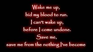 Evanescence  Wake me up Inside Lyricsmp4 [upl. by Ahtenak]