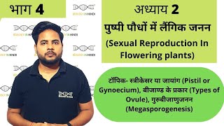 अध्याय2 भाग 4 पुष्पी पौधों में लैंगिक जनन  जीव विज्ञान कक्षा 12  Sexual repro in flowering plant [upl. by Granny142]