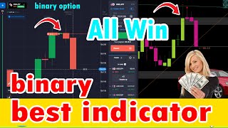 Best Mt4 Indicator for Binary Options  Professional MT4 Indicator [upl. by Enneirb180]