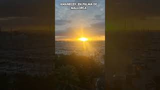 AMANECER EN PALMA DE MALLORCA amaneceres palmademallorca shortvideo mallorca baleares [upl. by Ziwot]