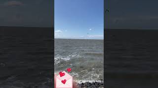 Sommer  Norddeich naturevideo nordseegefuehl nature nordsee norddeich yahtzee [upl. by Ahsirkal]