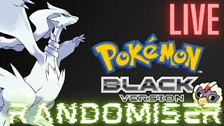 Pokemon Black Randomizer [upl. by Anelra]