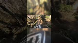 Thredbo Cannonball GoPro shorts [upl. by Neelyar]