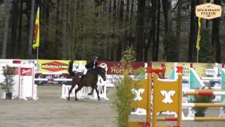 quotLuftzauberquot  8 j Stute v Lord Pezi x Landfriese I Lastrup 2015 [upl. by Denby944]