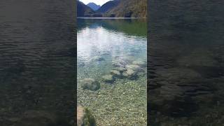 🇩🇪😍 Crystal clear Alpsee lake in Schwangau bavaria alpsmountains germany [upl. by Amol]