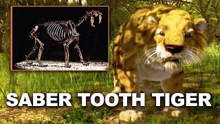 The Incredible Truth Behind Why These Deadly Creatures Went Extinct  Extinct Animal [upl. by Oilut]