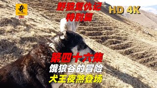 大型紀錄片【野狼復仇記】犬王篇04集，惡狼谷的冒險，犬王夜煞登場 [upl. by Eladnor841]