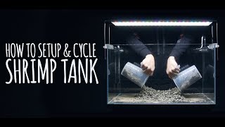 How To Setup amp Cycle Shrimp Tank [upl. by Lectra506]