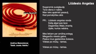 Andrius Mamontovas  Liūdesio Angelas [upl. by Aihsenak]