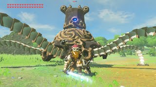 How to Make a Friendly Guardian in Breath of the Wild  Glitch Tutorial [upl. by Dielu441]