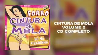 Forró Cintura de Mola CD Vol 2 COMPLETO [upl. by Moreville]