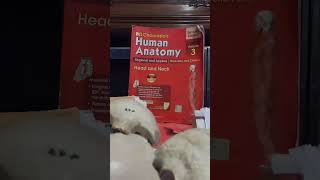 Anatomy head neck card viva question [upl. by Hillman]