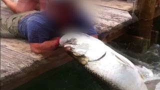 Watch man get into fish fight [upl. by Howard]