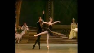 Swan Lake excerpt 3rd act Makarova amp Dowell [upl. by Ewart]