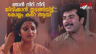 ഞാൻ നീറി നീറി ജീവിക്കാൻ തുടങ്ങിയിട്ട് കൊല്ലം കുറെ ആയി  Mammootty  Arayannegalude Veedu [upl. by Nandor]