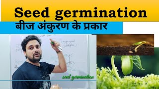 seed germination types in hindi  बीज अंकुरण के प्रकार  epigeal or hypogeal germination types [upl. by Arocal]