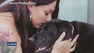 Dying dog lives to see owner married [upl. by Petunia383]