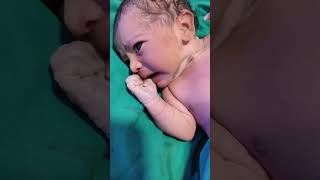 Good morning everyone viralvideo newbornbaby cutebaby baby [upl. by Osber502]