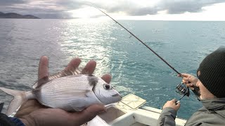 Pecanje na moru u Crnoj Gori kod Bara  Pecanje na varalicu i žive mamce  Fishing at sea [upl. by Mitran]