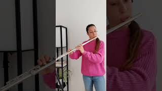 Introduction and Rondo Capriccioso Op 28 by C Saint Saëns saintsaens introduction rondo flute [upl. by Nicholas675]