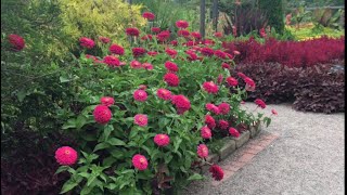 A Walk Through Beautiful Cantigny Park August 21 2017 [upl. by Otrevogir921]