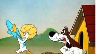 WB Foghorn Leghorn quotLovelorn Leghornquot Casaba Dance [upl. by Eessac]