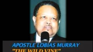 FULL GOSPEL HOLY TEMPLE  APOSTLE LOBIAS MURRAY  quotTHE WILD VINEquot [upl. by Arakat]